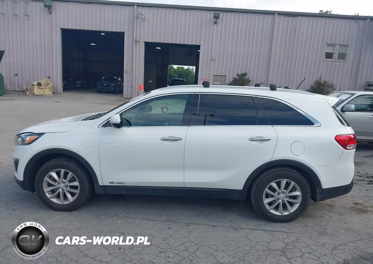 2016 Kia Sorento 3.3L Lx VIN:5XYPGDA59GG179882 - 14