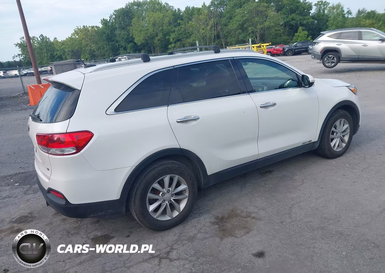 2016 Kia Sorento 3.3L Lx VIN:5XYPGDA59GG179882 - 4