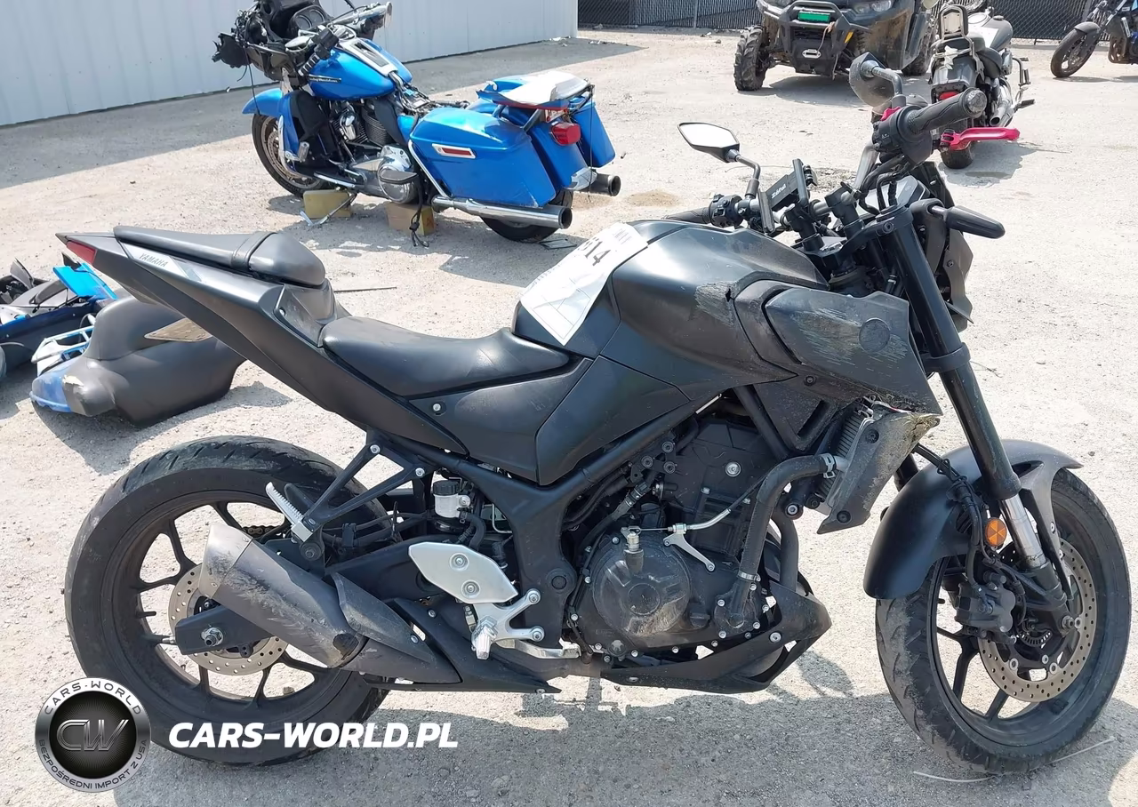 2021 Yamaha Mt-03 VIN:MH3RH20Y5MK005806 - 12