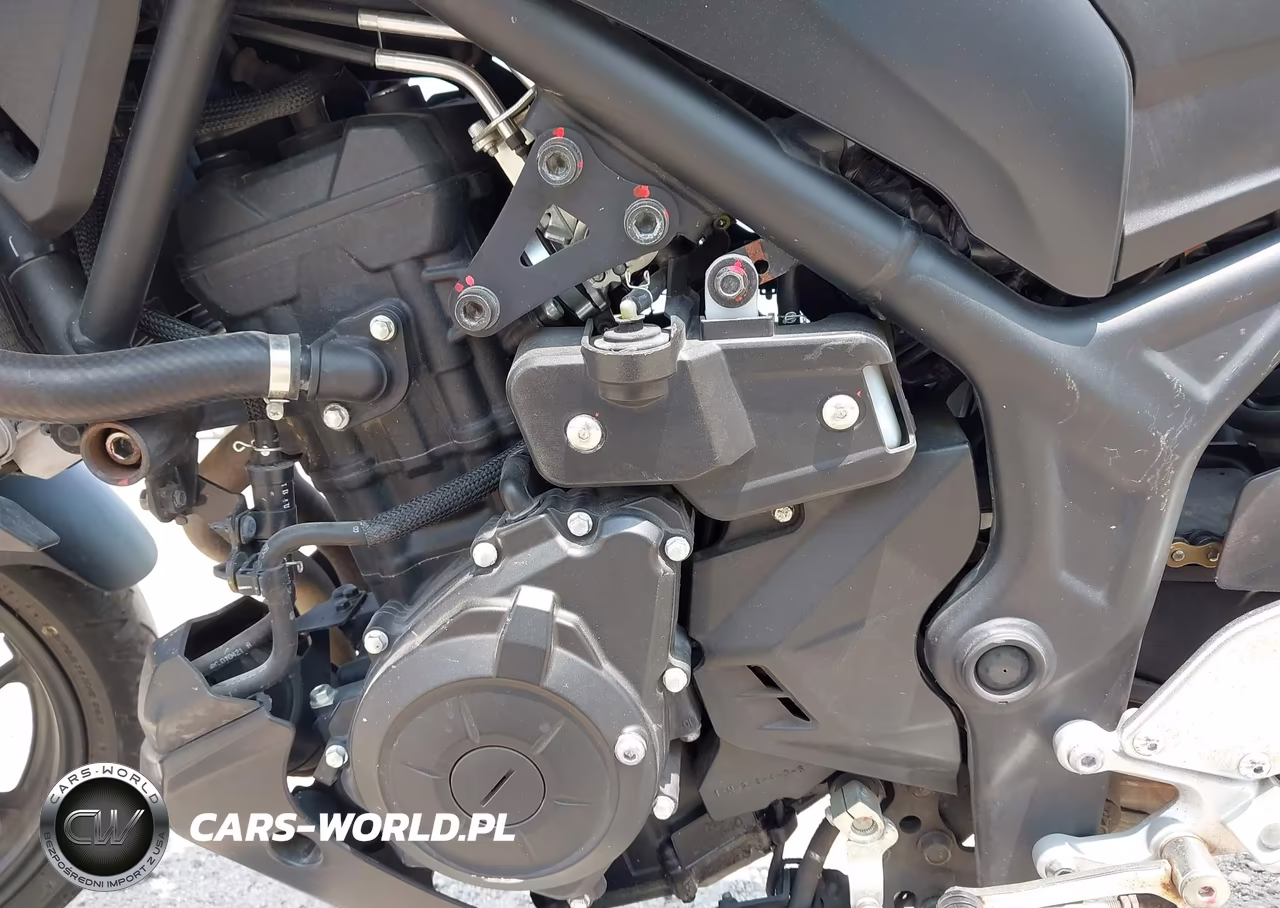 2021 Yamaha Mt-03 VIN:MH3RH20Y5MK005806 - 9
