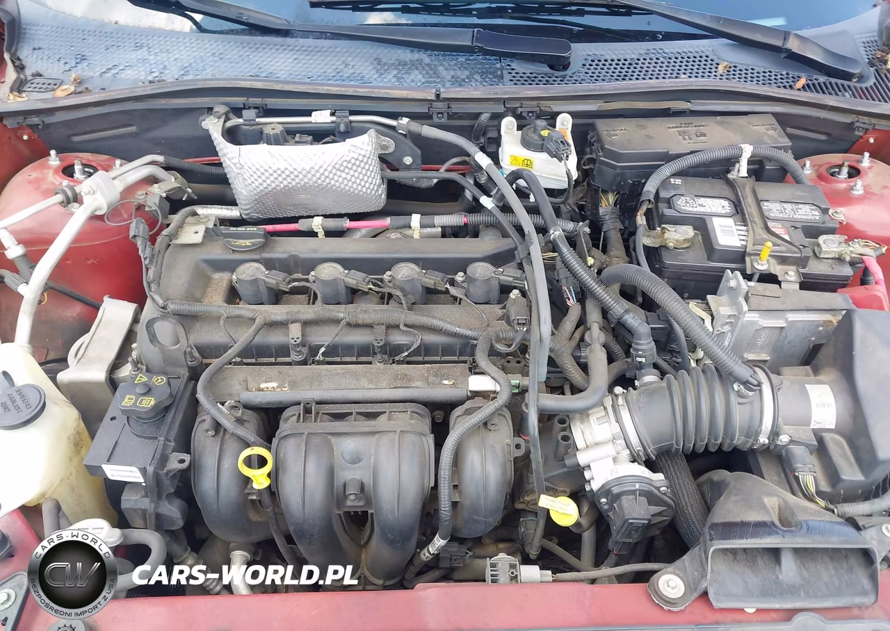 2011 Ford Focus Ses VIN:1FAHP3GNXBW114062 - 10