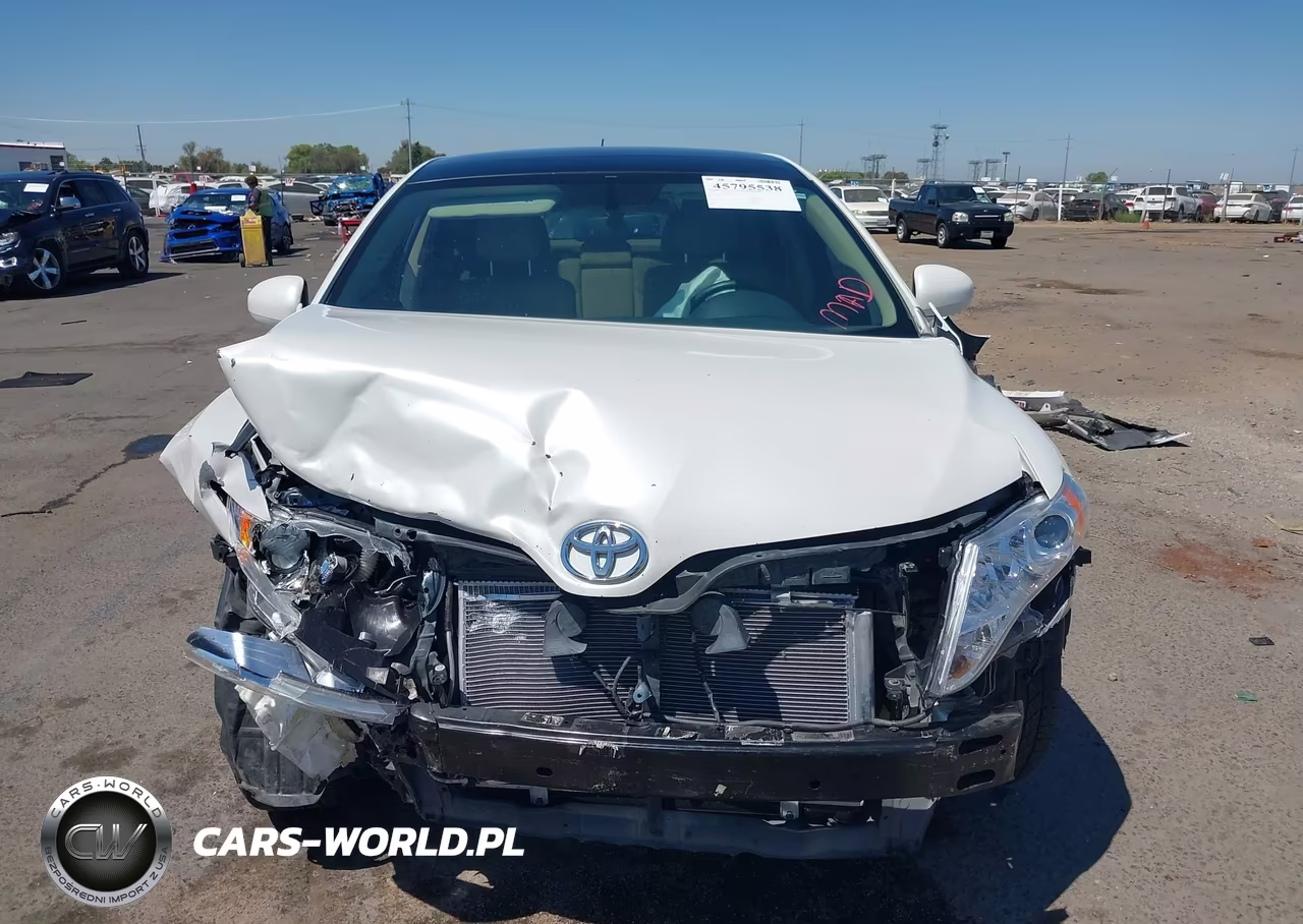 2010 Toyota Venza VIN:4T3BA3BB2AU016784 - 12