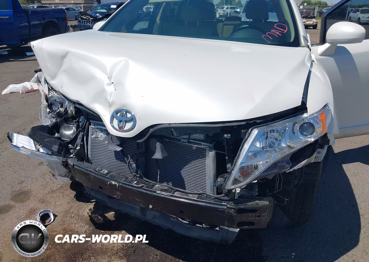 2010 Toyota Venza VIN:4T3BA3BB2AU016784 - 6