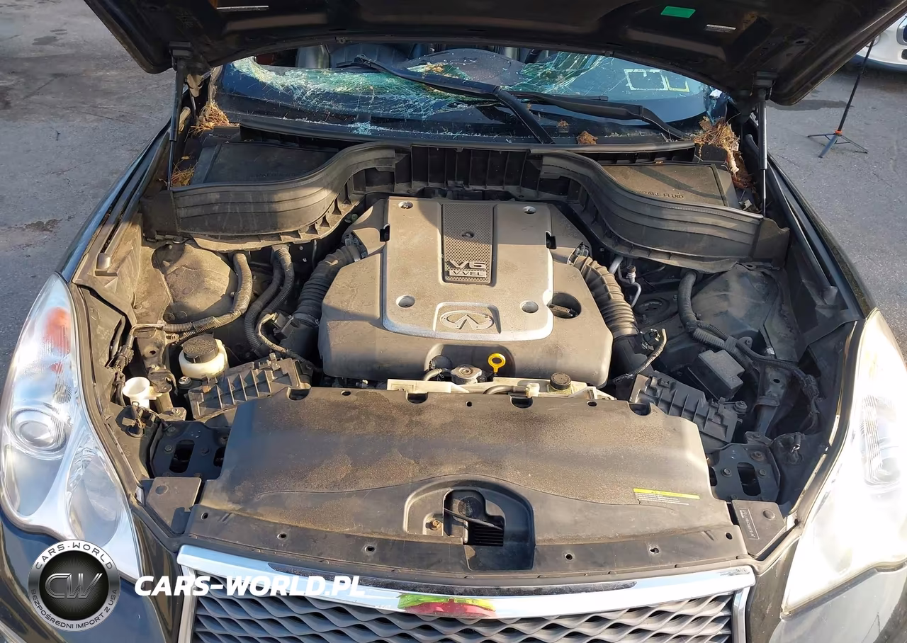 2017 Infiniti Qx50 VIN:JN1BJ0RR2HM411043 - 10