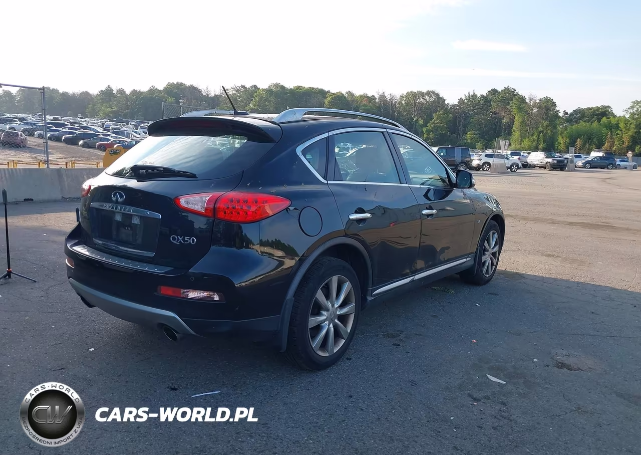 2017 Infiniti Qx50 VIN:JN1BJ0RR2HM411043 - 4