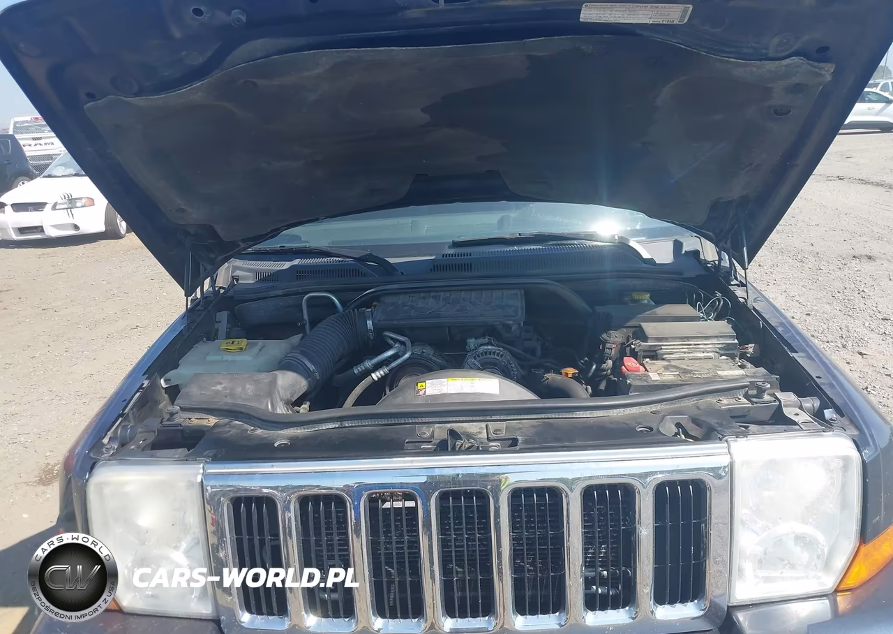 2010 Jeep Commander Sport VIN:1J4RG4GK5AC125460 - 10