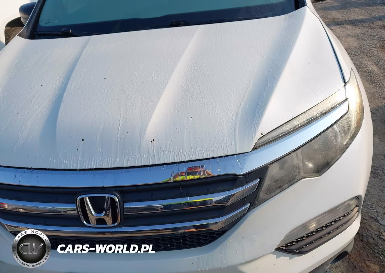 2018 Honda Pilot Ex-L VIN:5FNYF5H89JB015544 - 6