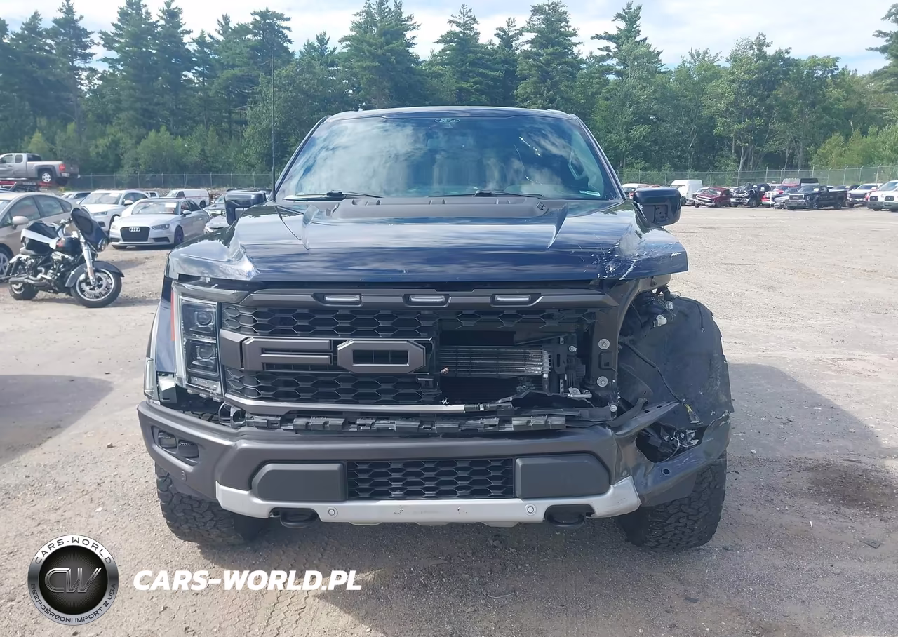 2021 Ford F-150 Raptor VIN:1FTFW1RG9MFC76792 - 13