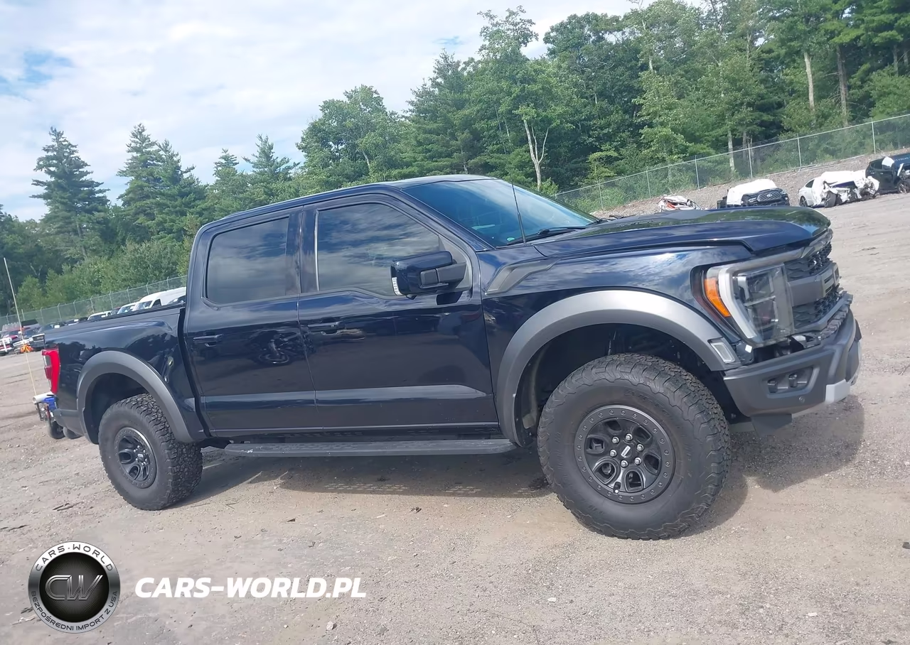 2021 Ford F-150 Raptor VIN:1FTFW1RG9MFC76792 - 14