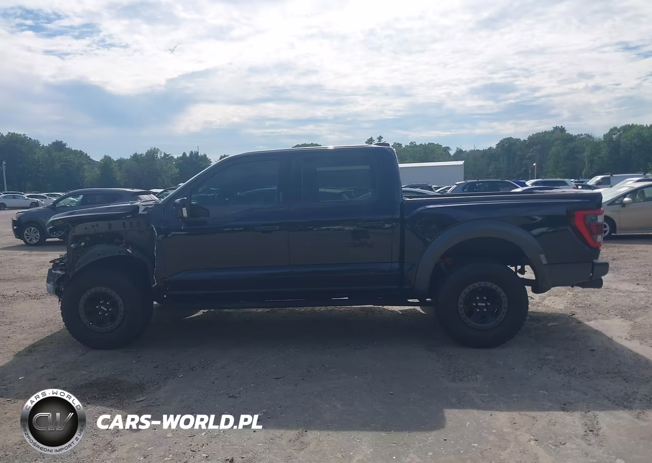 2021 Ford F-150 Raptor VIN:1FTFW1RG9MFC76792 - 15
