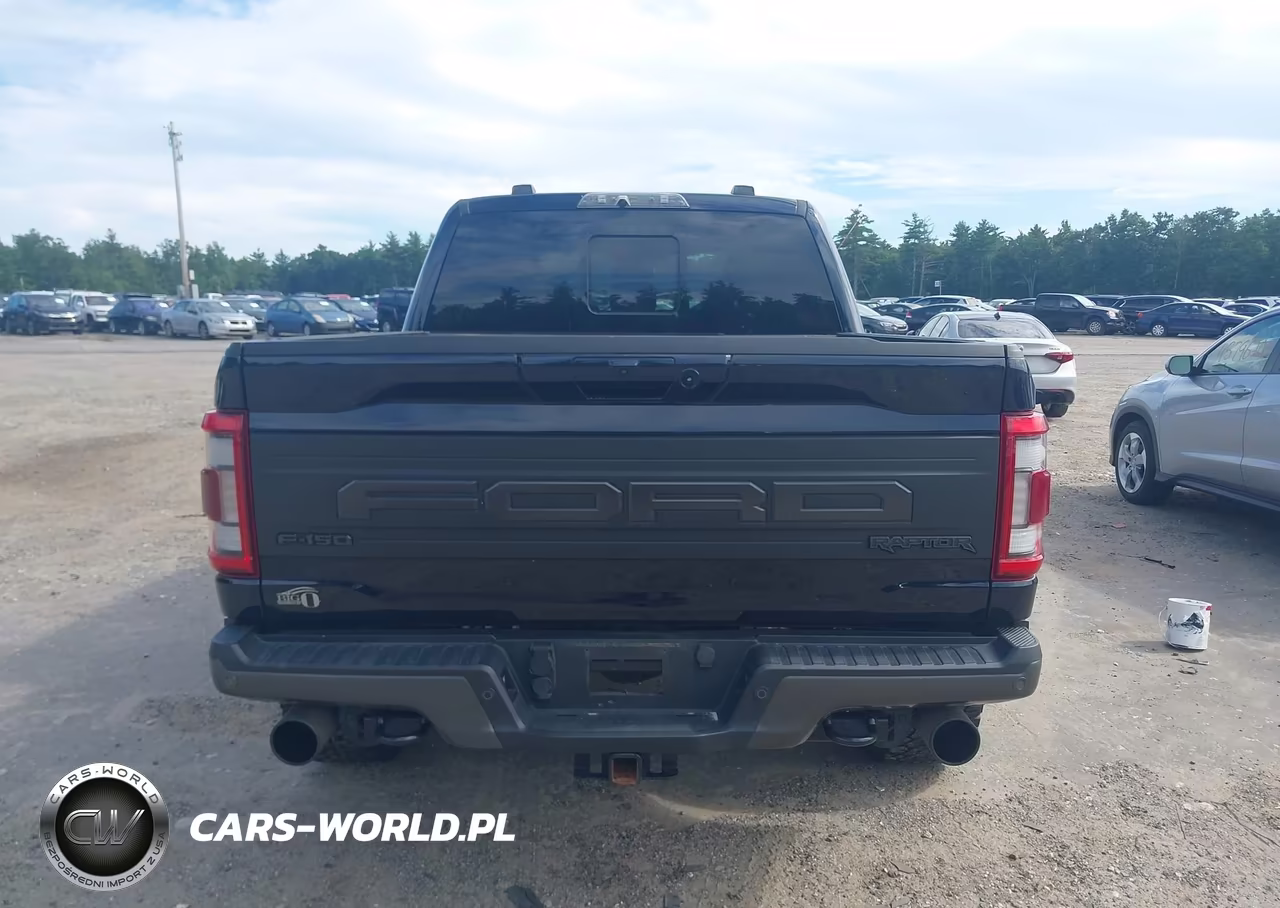 2021 Ford F-150 Raptor VIN:1FTFW1RG9MFC76792 - 17