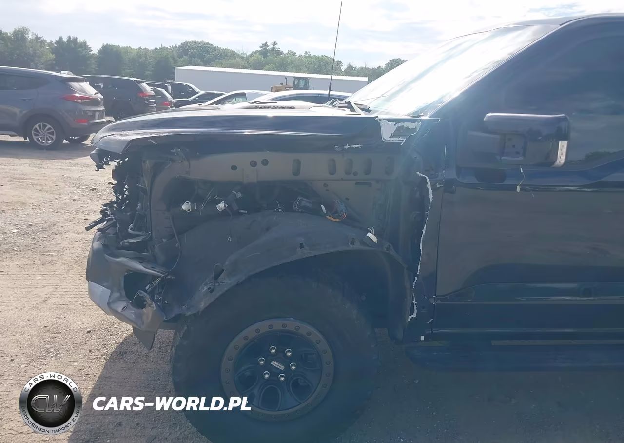 2021 Ford F-150 Raptor VIN:1FTFW1RG9MFC76792 - 18