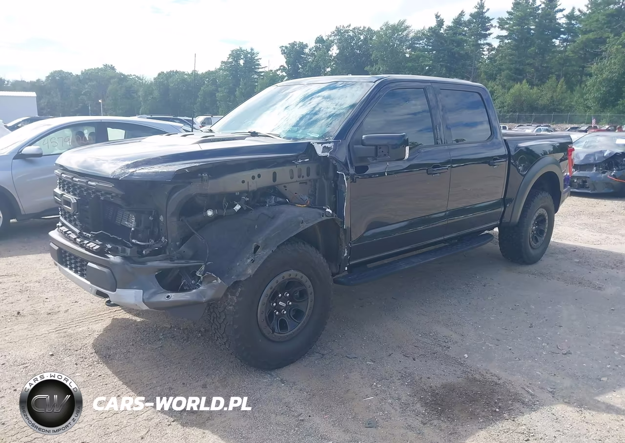 2021 Ford F-150 Raptor VIN:1FTFW1RG9MFC76792 - 2