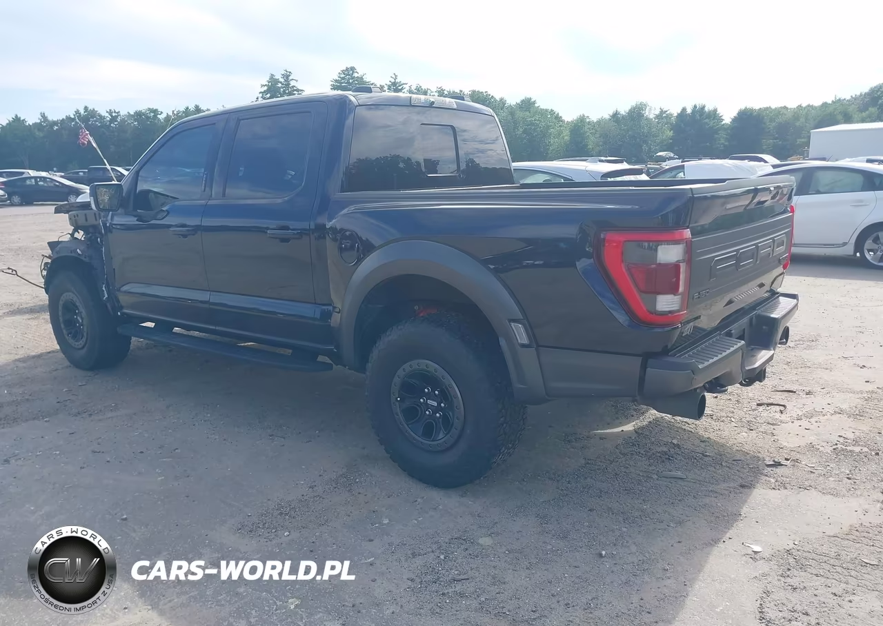 2021 Ford F-150 Raptor VIN:1FTFW1RG9MFC76792 - 3
