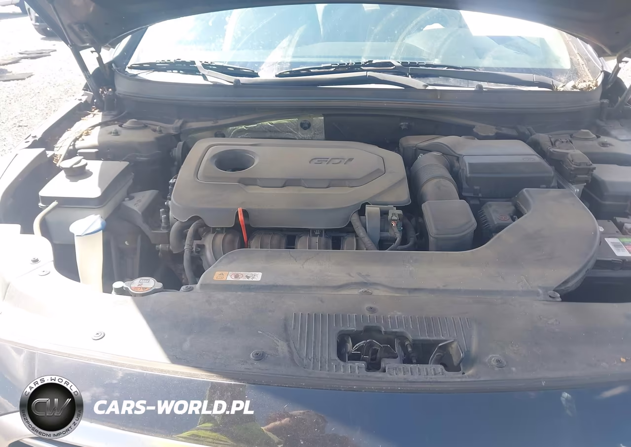 2015 Hyundai Sonata Se VIN:5NPE24AF5FH018466 - 10