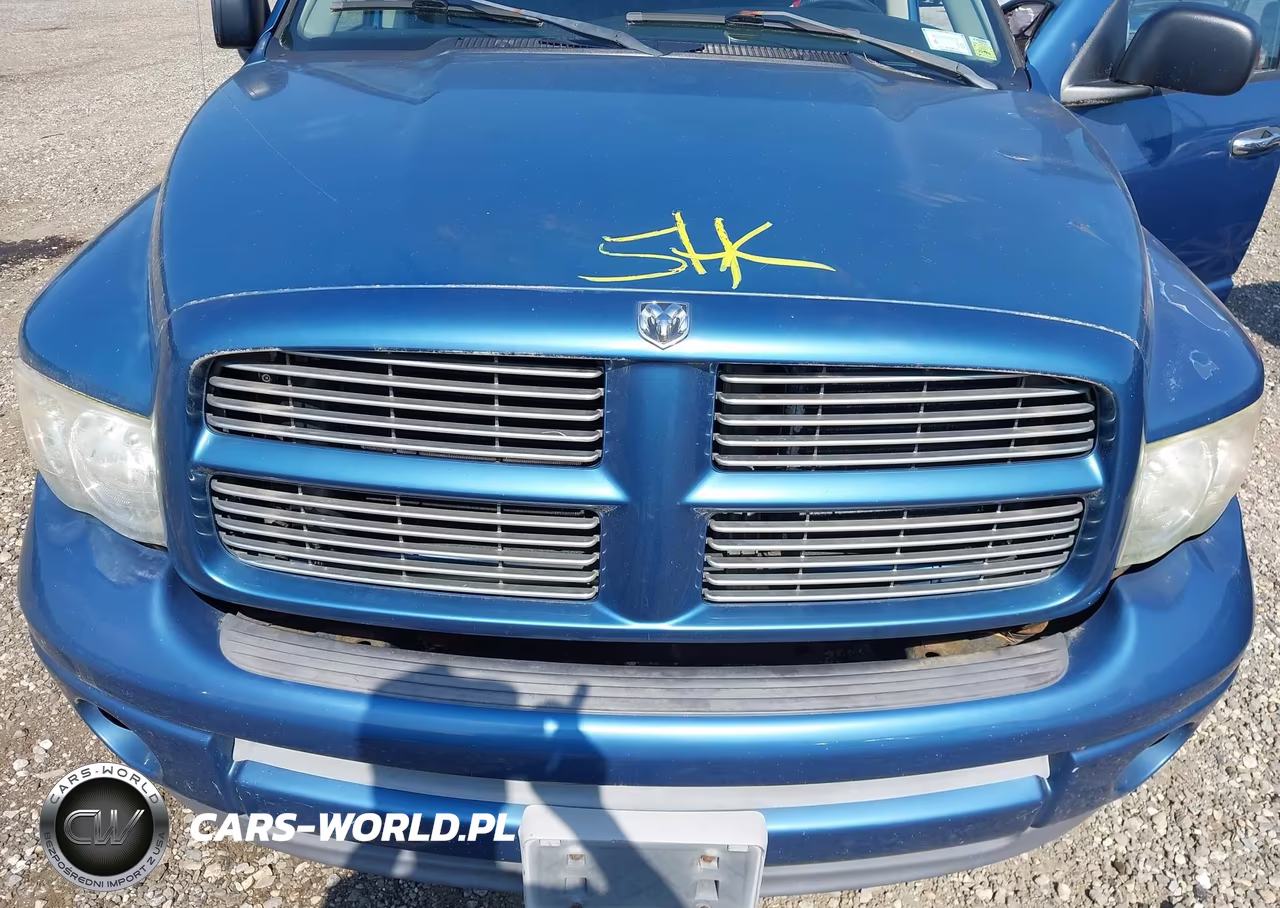 2002 Dodge Ram 1500 St VIN:1D7HU18Z92J206663 - 10