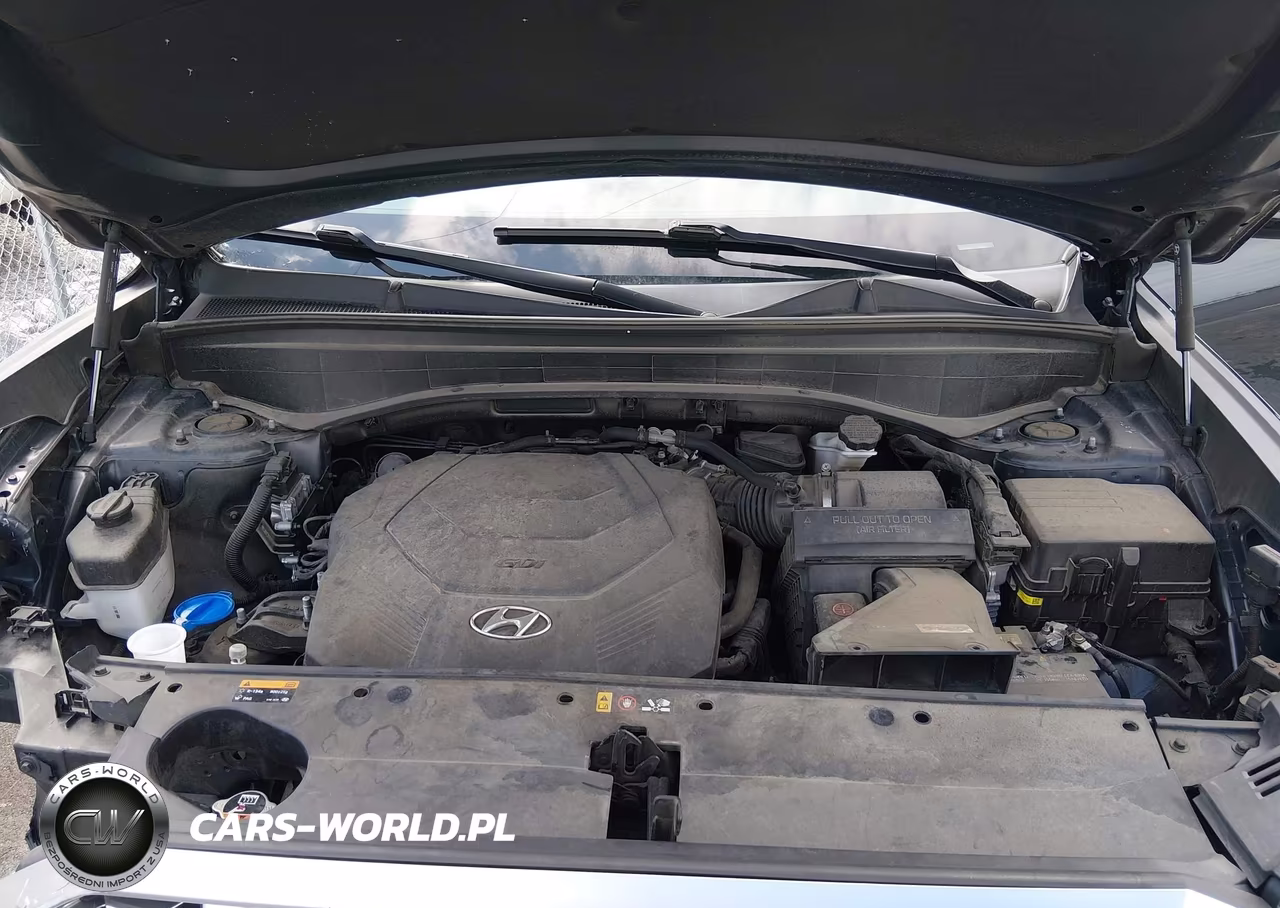2020 Hyundai Palisade Sel VIN:KM8R44HE3LU148087 - 10
