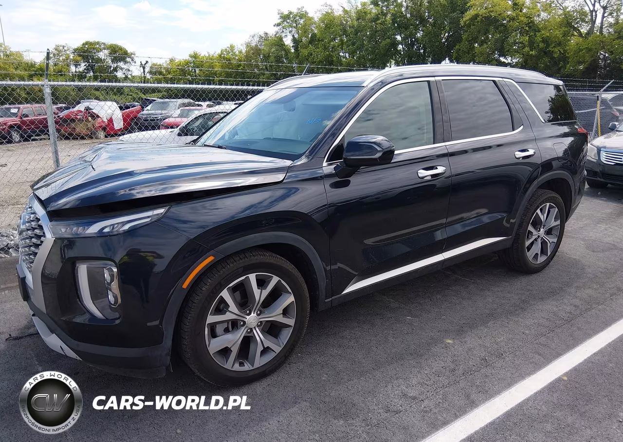 2020 Hyundai Palisade Sel VIN:KM8R44HE3LU148087 - 2