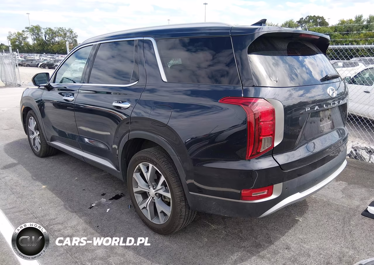 2020 Hyundai Palisade Sel VIN:KM8R44HE3LU148087 - 3