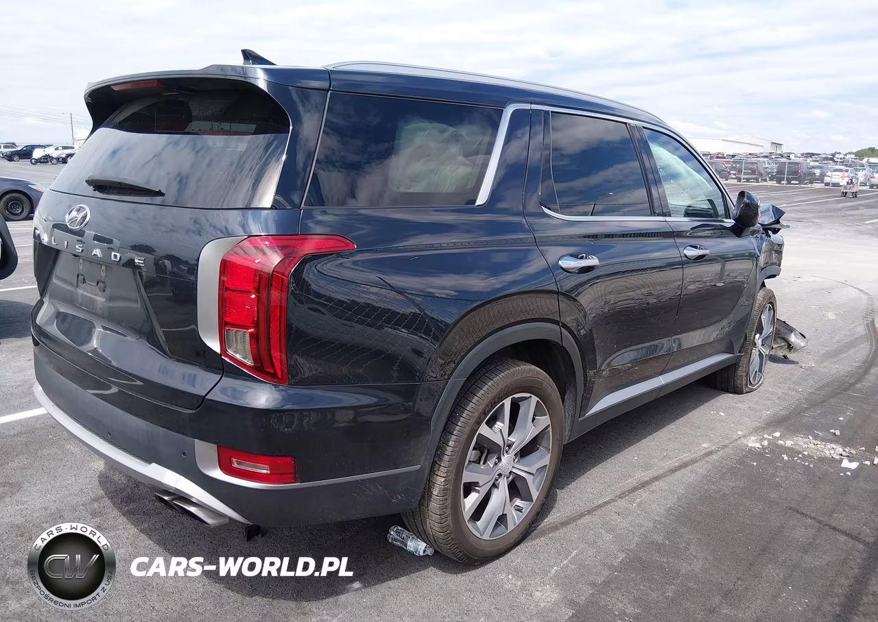 2020 Hyundai Palisade Sel VIN:KM8R44HE3LU148087 - 4