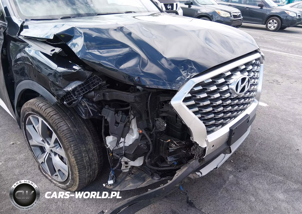 2020 Hyundai Palisade Sel VIN:KM8R44HE3LU148087 - 6