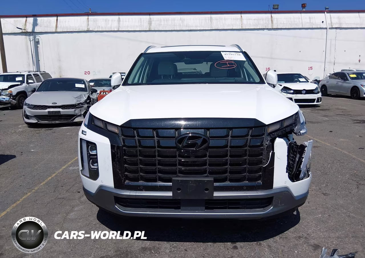 2023 Hyundai Palisade Limited VIN:KM8R5DGE7PU502598 - 12