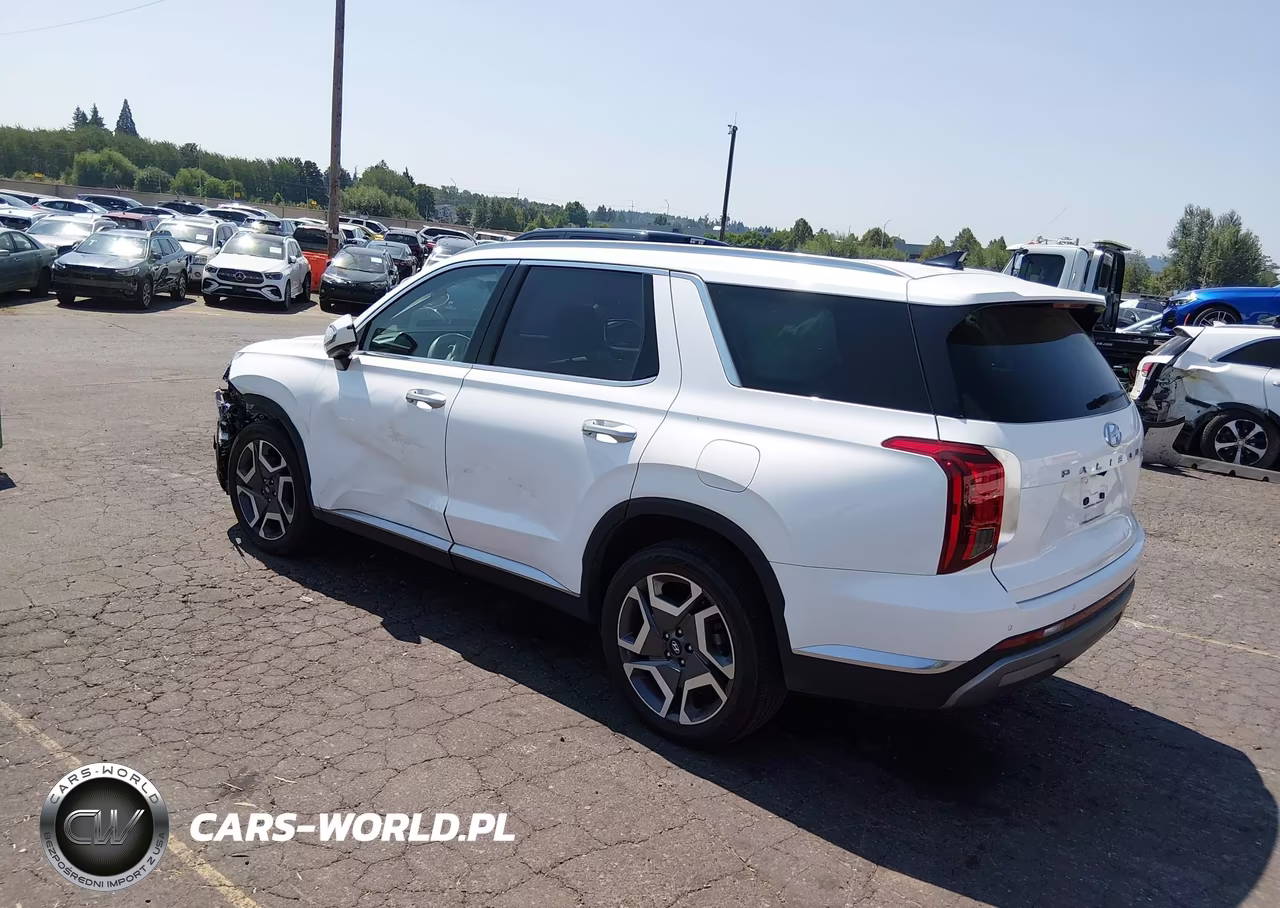 2023 Hyundai Palisade Limited VIN:KM8R5DGE7PU502598 - 3