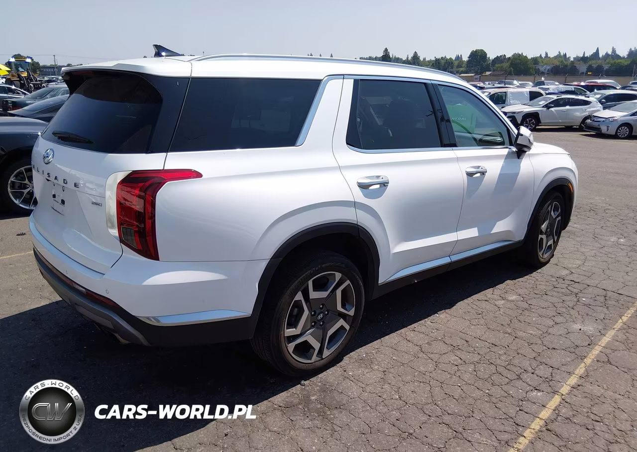 2023 Hyundai Palisade Limited VIN:KM8R5DGE7PU502598 - 4