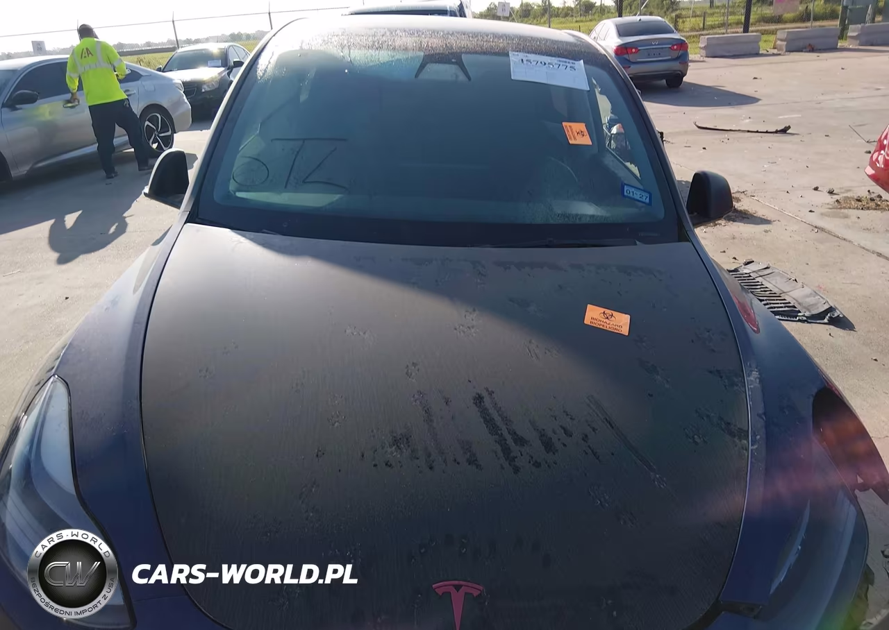 2022 Tesla Model Y Performance Dual Motor All-Wheel Drive VIN:7SAYGDEF2NF380957 - 10