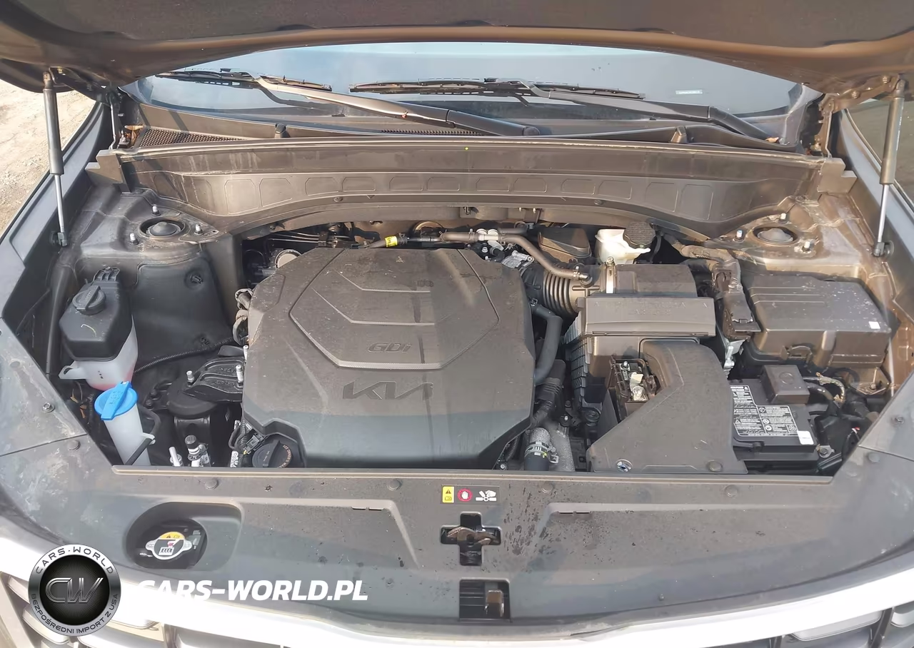 2024 Kia Telluride S VIN:5XYP6DGCXRG566114 - 10