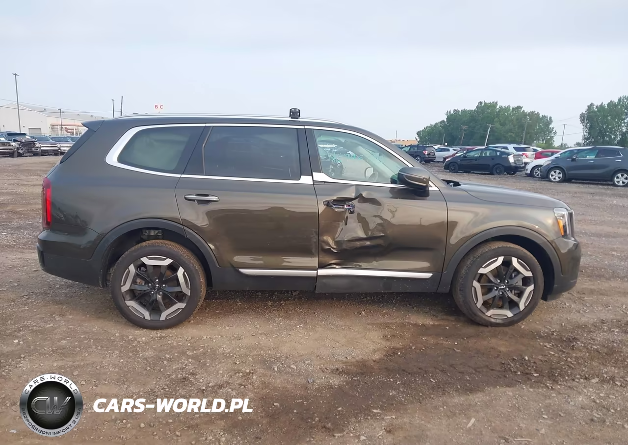 2024 Kia Telluride S VIN:5XYP6DGCXRG566114 - 13