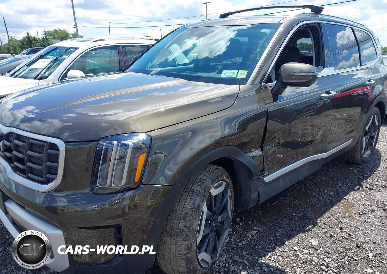 2024 Kia Telluride S VIN:5XYP6DGCXRG566114 - 19