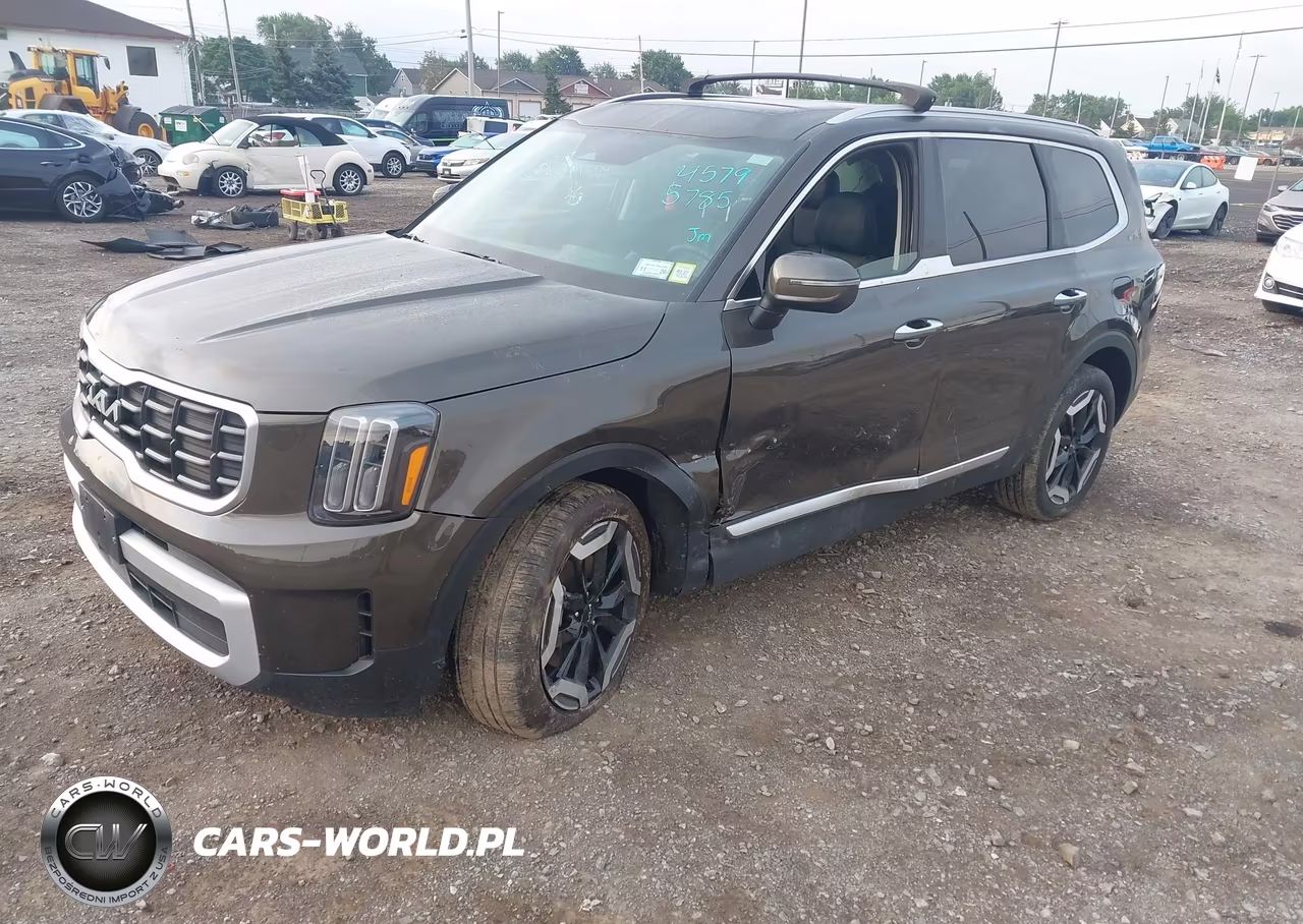 2024 Kia Telluride S VIN:5XYP6DGCXRG566114 - 2