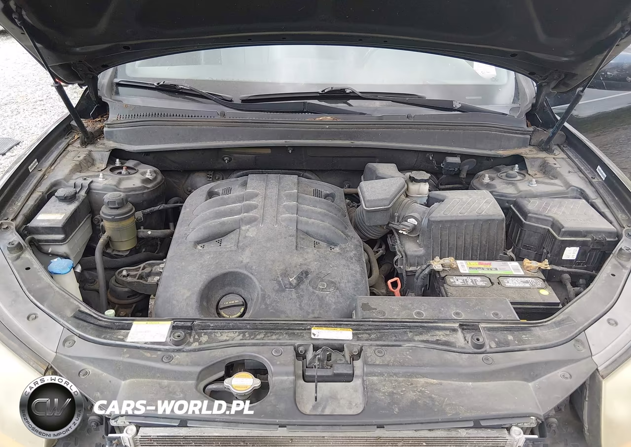 2009 Hyundai Santa Fe Limited VIN:5NMSH13E99H275202 - 10