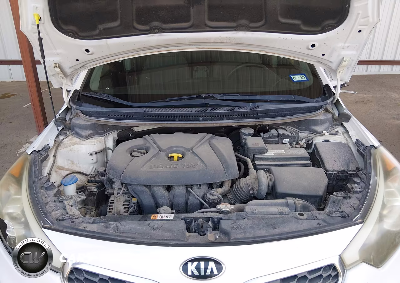 2015 Kia Forte Lx VIN:KNAFX4A65F5399285 - 10
