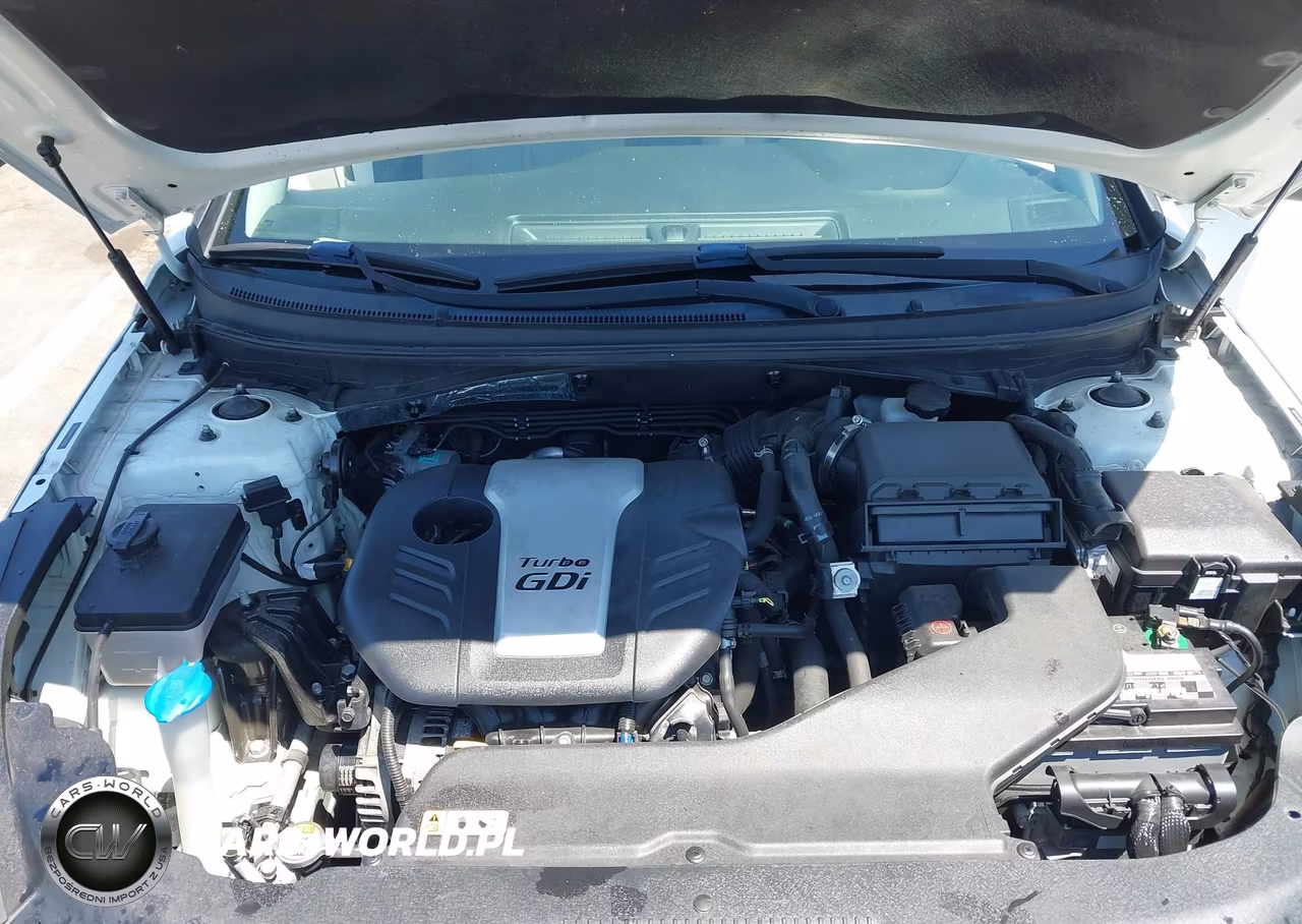 2017 Hyundai Sonata Eco VIN:5NPE24AAXHH494896 - 10