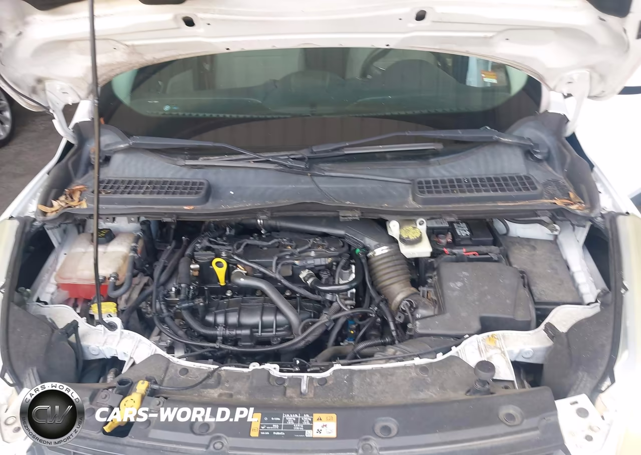 2014 Ford Escape Se VIN:1FMCU0GX1EUC00613 - 10