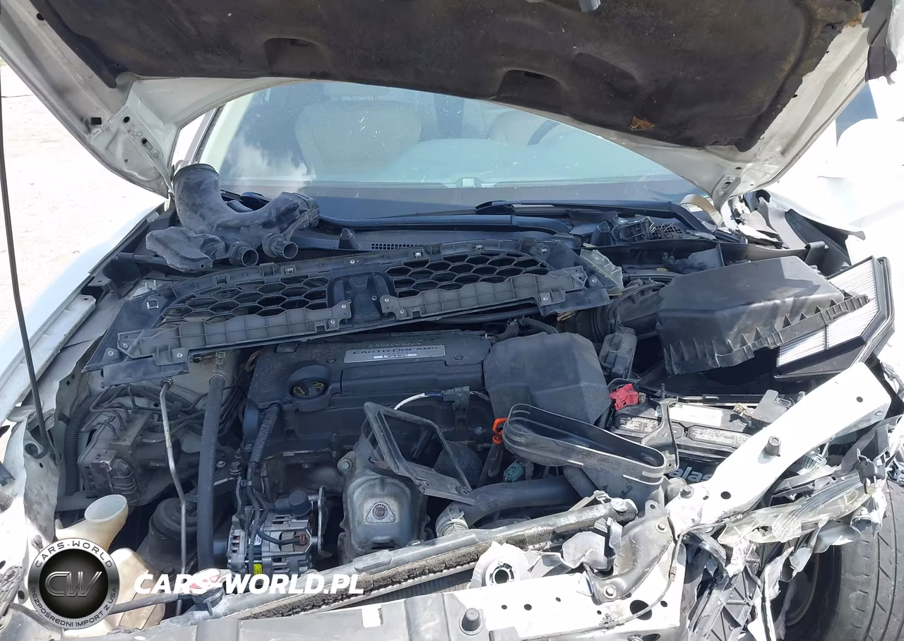 2013 Honda Accord Ex-L VIN:1HGCT1B85DA025443 - 10