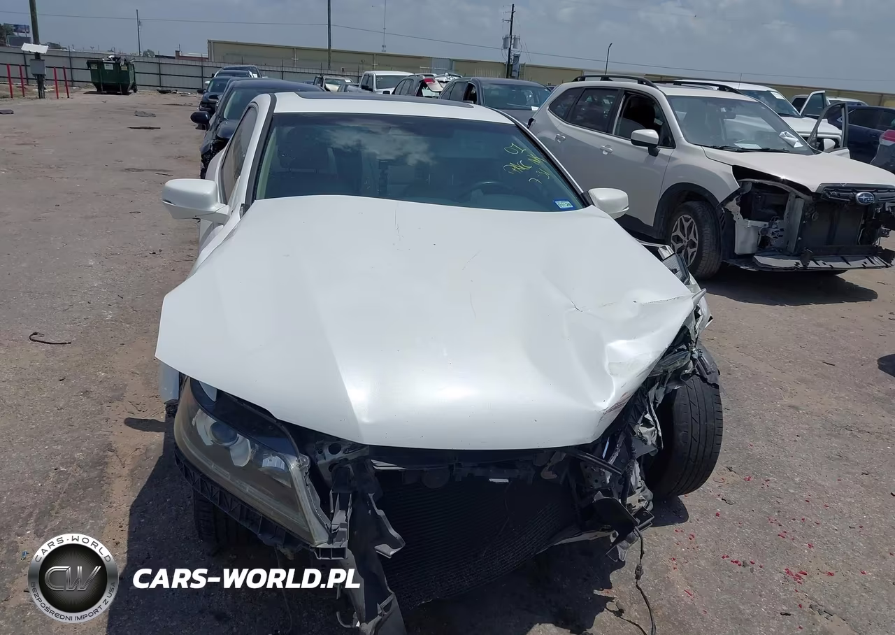 2013 Honda Accord Ex-L VIN:1HGCT1B85DA025443 - 13