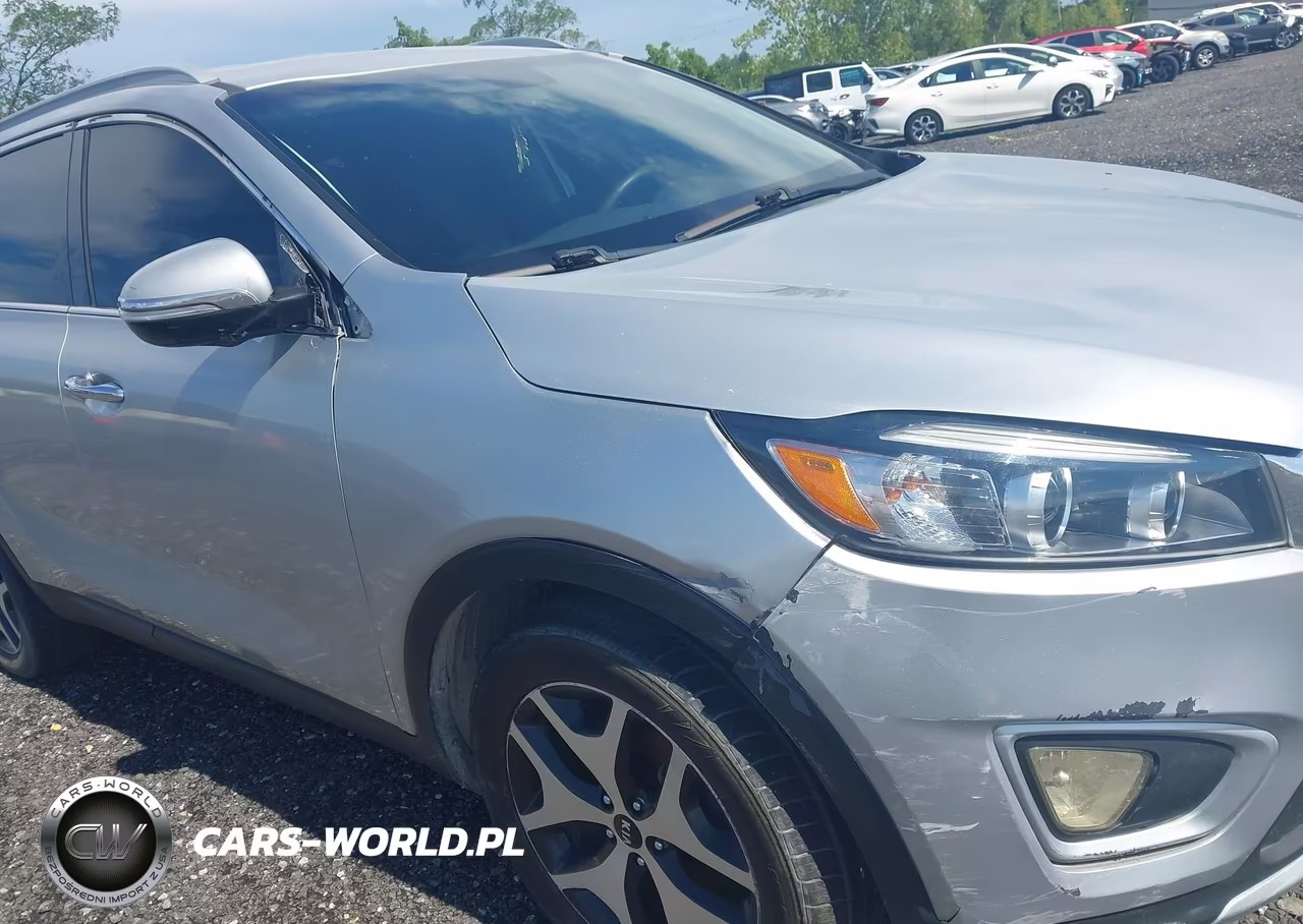 2016 Kia Sorento 2.4L Lx VIN:5XYPG4A3XGG026250 - 6