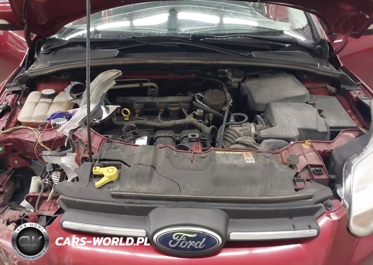 2013 Ford Focus Se VIN:1FADP3F20DL261873 - 10