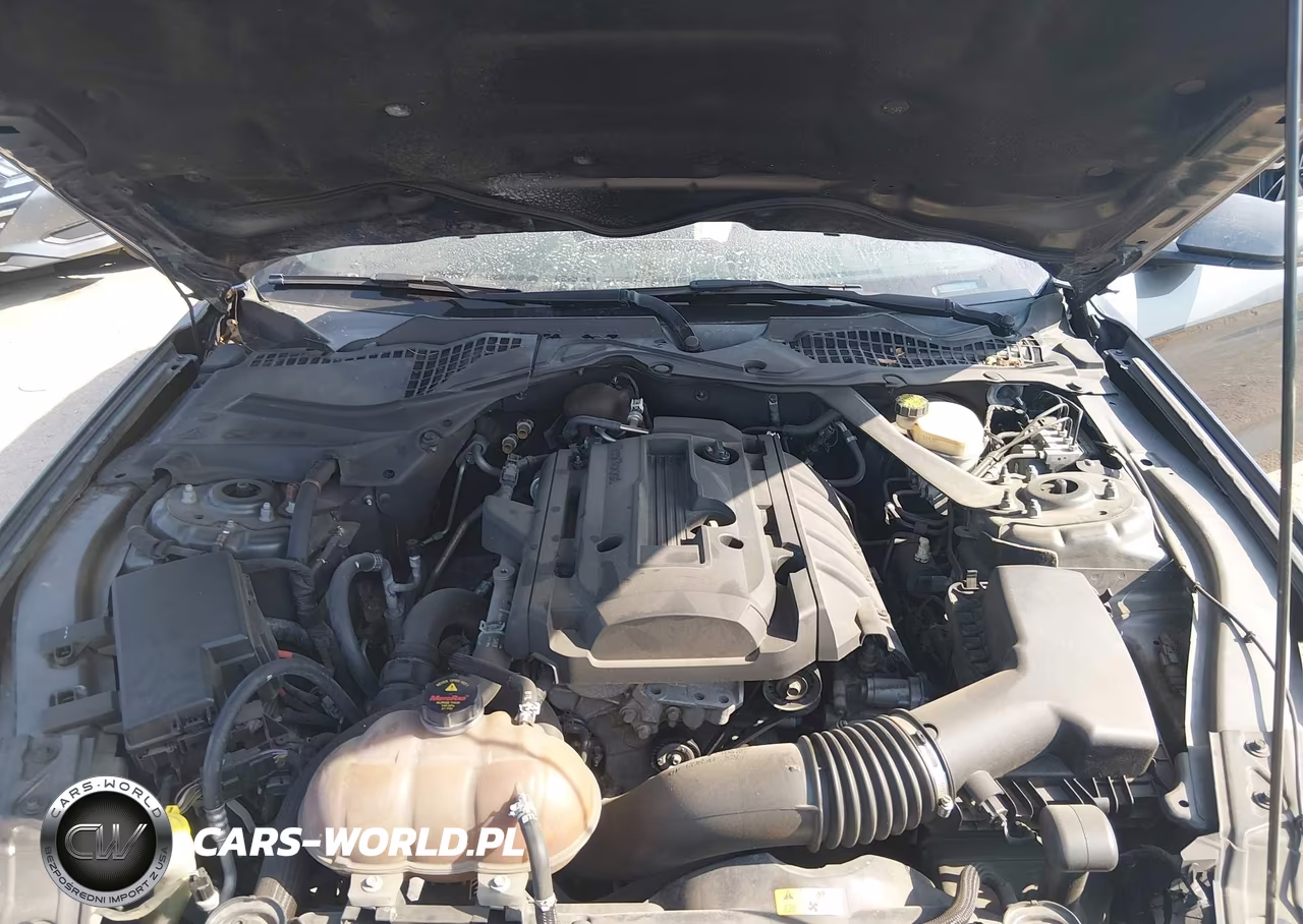 2016 Ford Mustang Ecoboost Premium VIN:1FATP8UH0G5328884 - 10