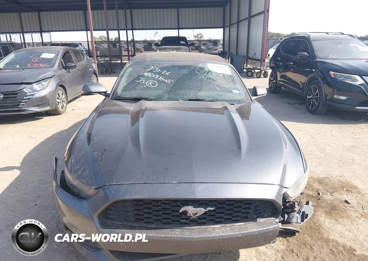 2016 Ford Mustang Ecoboost Premium VIN:1FATP8UH0G5328884 - 12