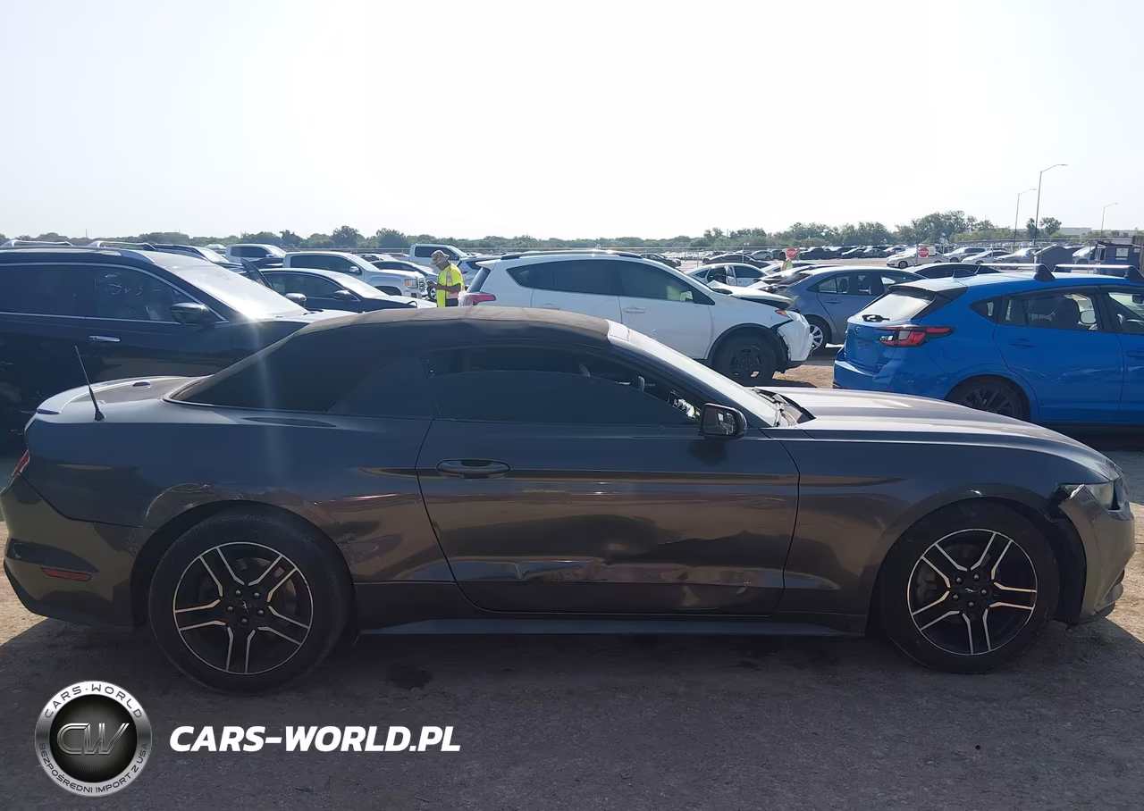 2016 Ford Mustang Ecoboost Premium VIN:1FATP8UH0G5328884 - 13