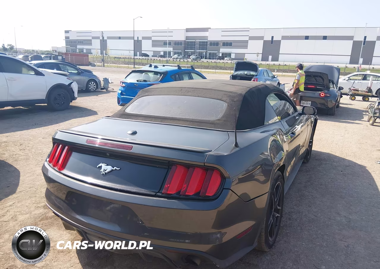 2016 Ford Mustang Ecoboost Premium VIN:1FATP8UH0G5328884 - 4