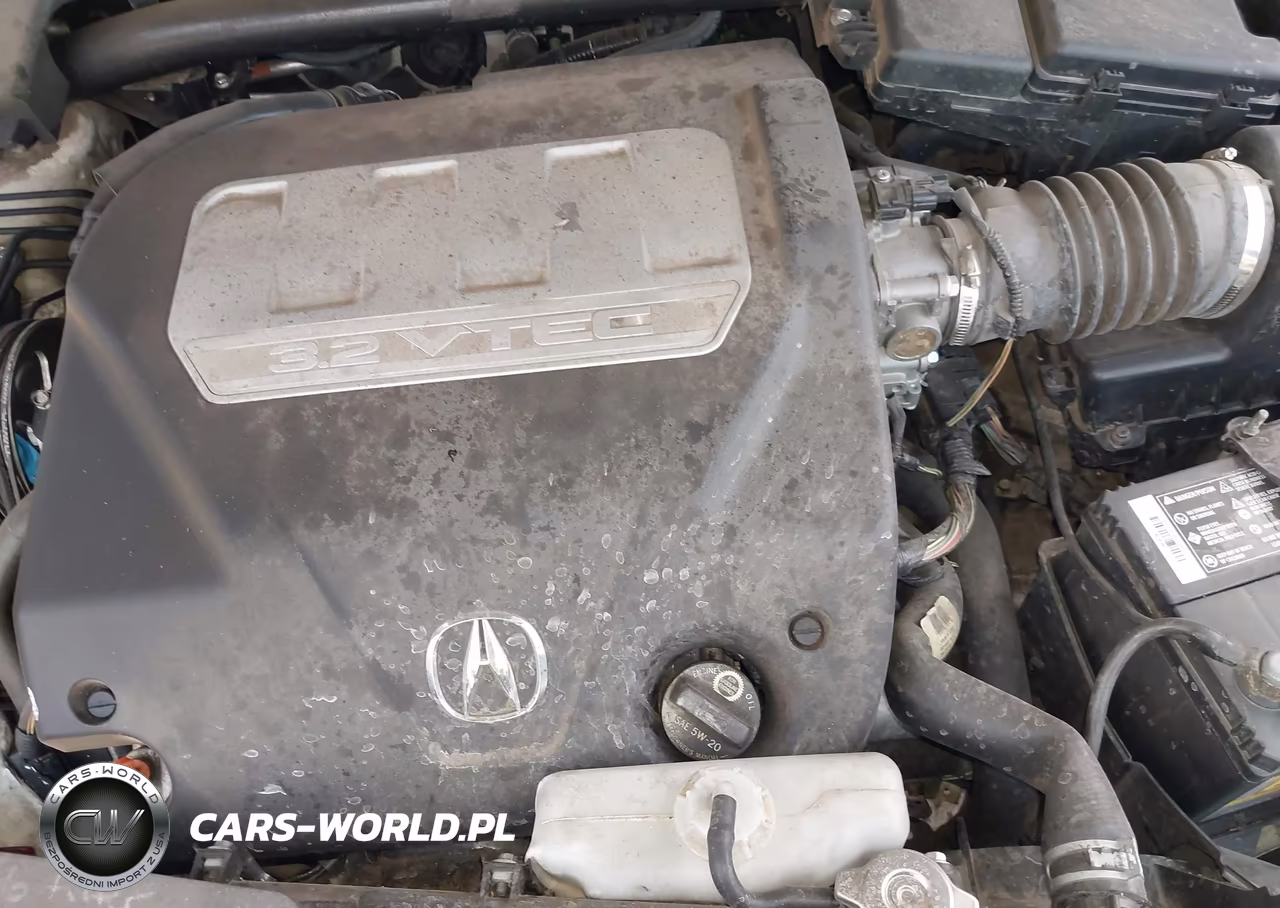 2007 Acura Tl 3.2 VIN:19UUA66287A003146 - 10