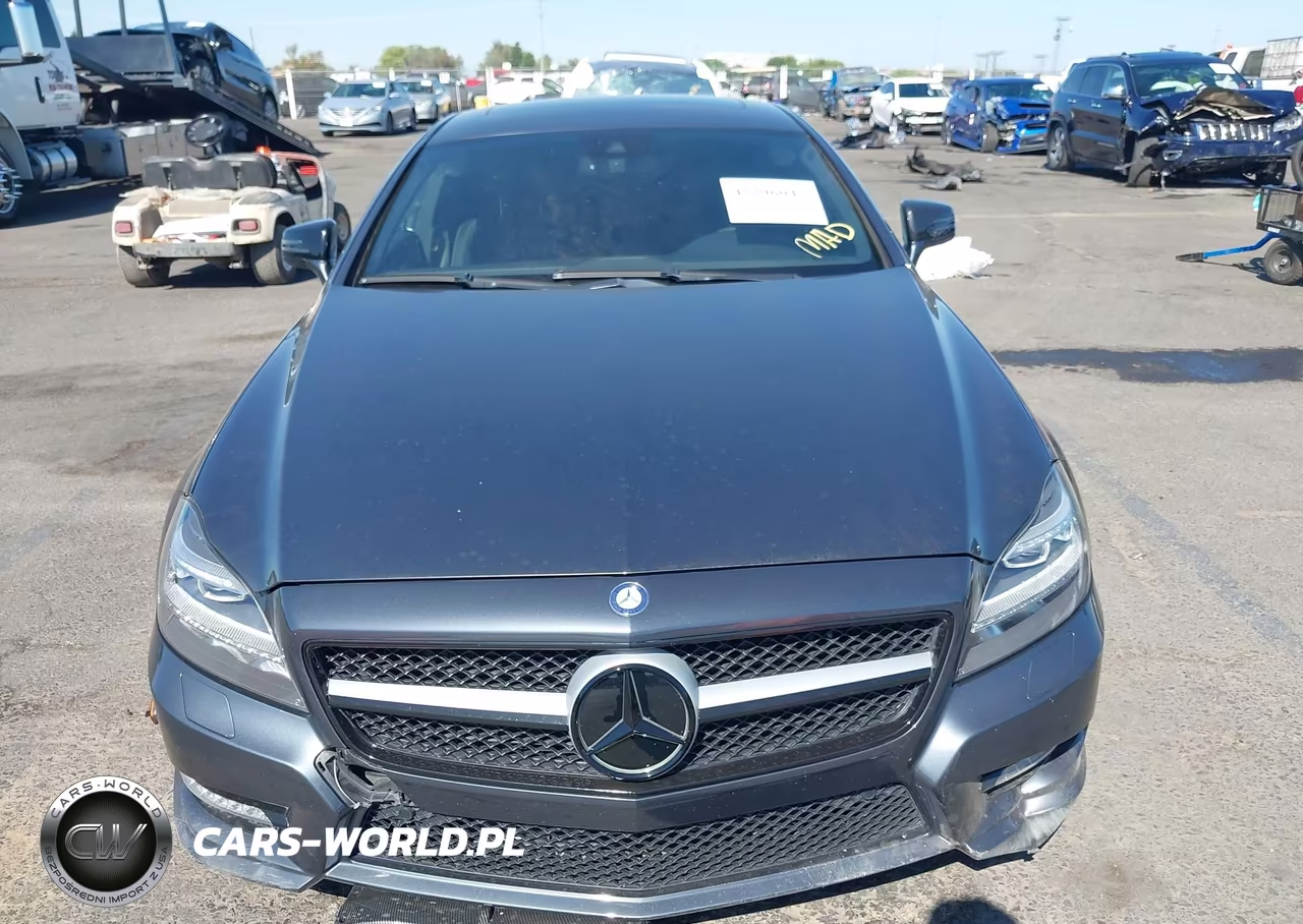 2013 Mercedes-Benz Cls 550 4Matic VIN:WDDLJ9BB2DA080937 - 12