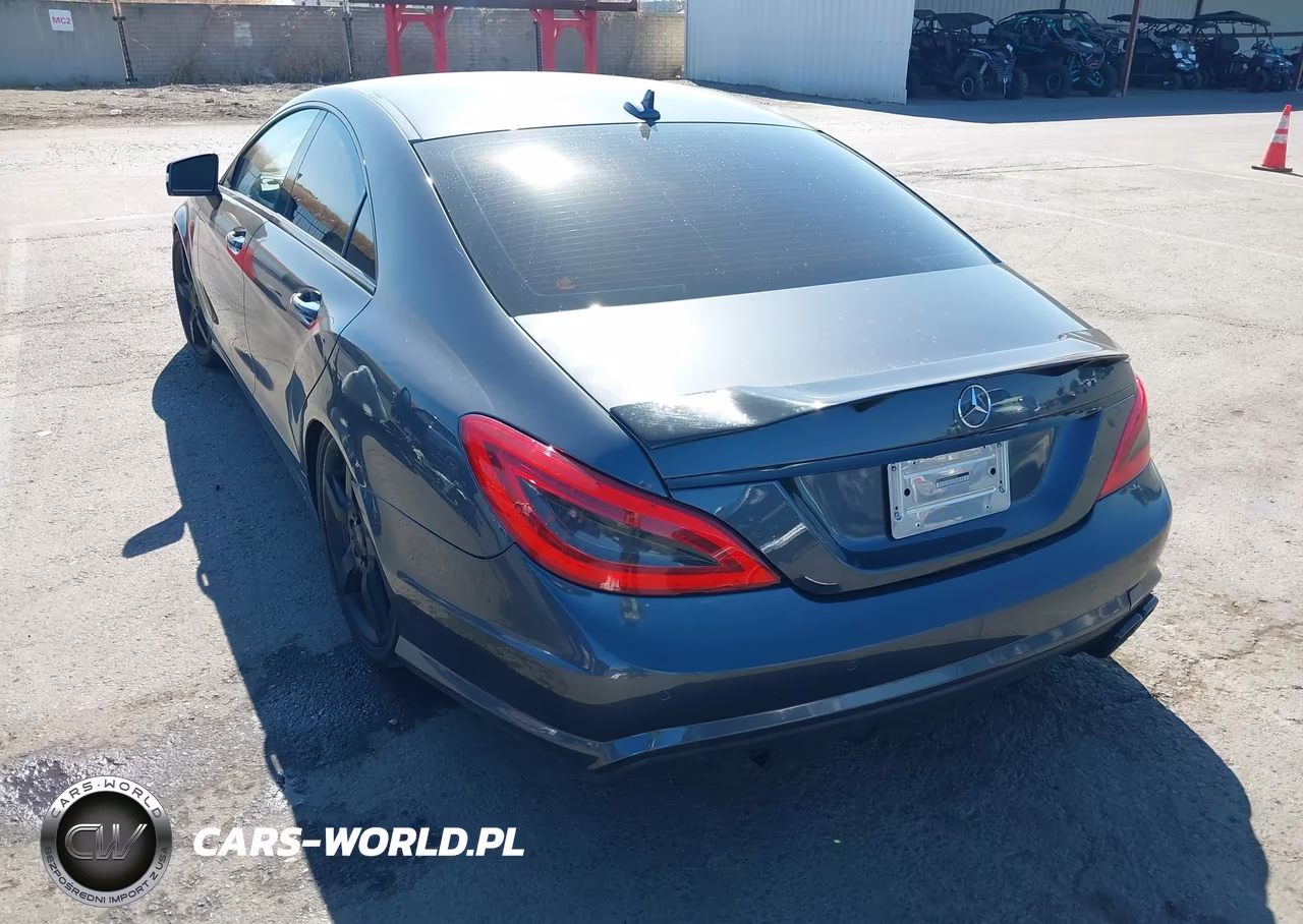 2013 Mercedes-Benz Cls 550 4Matic VIN:WDDLJ9BB2DA080937 - 3