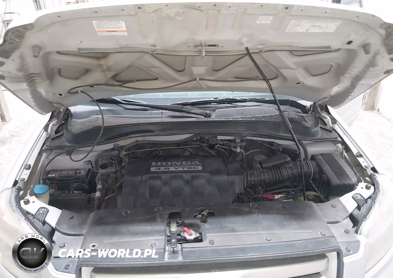 2006 Honda Pilot Ex VIN:2HKYF18496H532907 - 10
