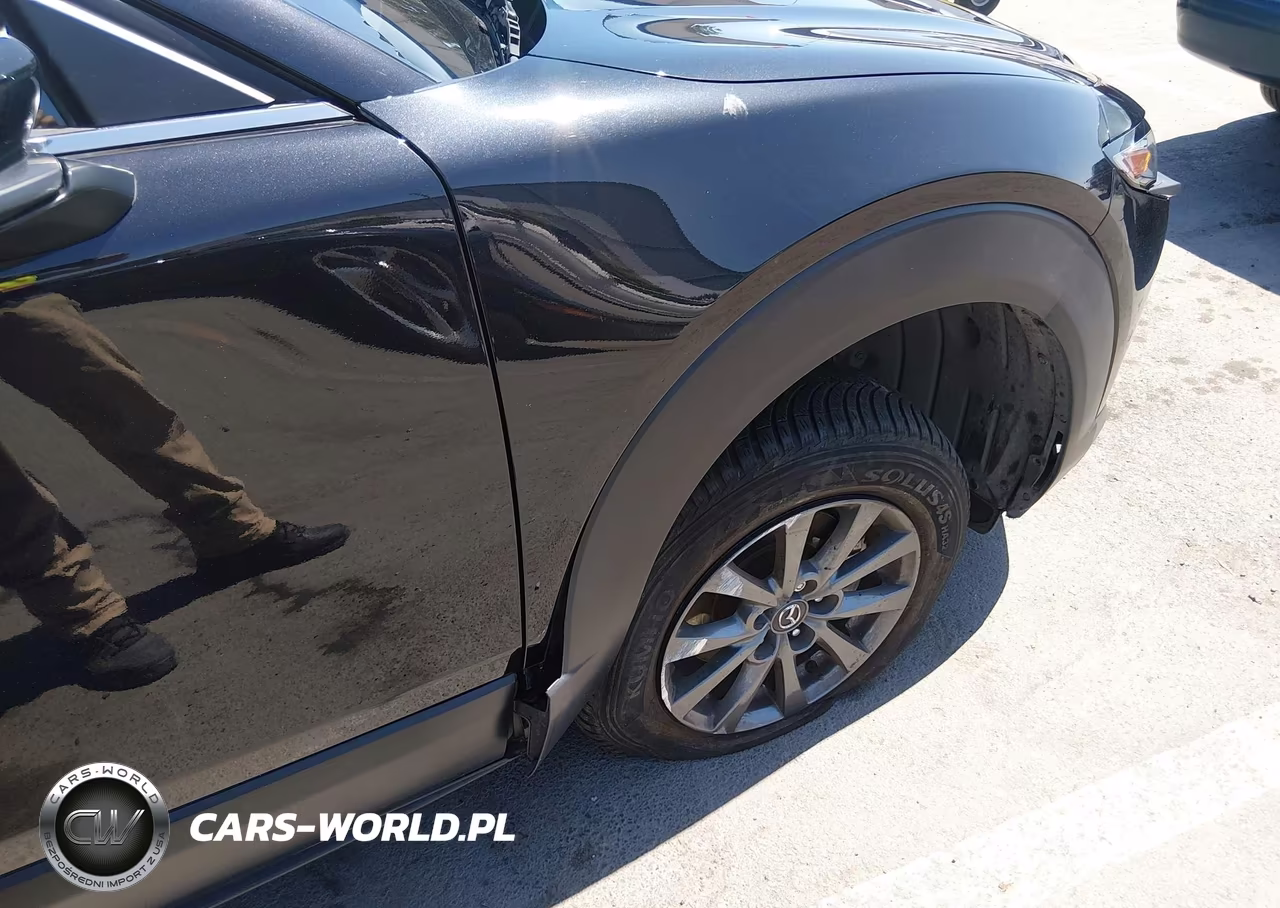 2023 Mazda Cx-30 2.5 S VIN:3MVDMBAM3PM555548 - 17